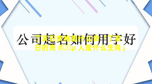 丁亥日贵格是什么命「丁亥日的贵 🐵 人是什么生肖」